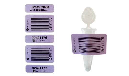 GENEWIZ AAV-ITR Protocol