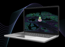 High-Plex Spatial Analysis of Tissue Microenvironments