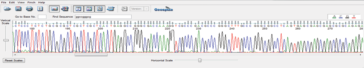 GENEWIZ AAV-ITR Protocol