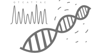 Un-Purified PCR Products