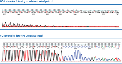 Repeat / GC Rich Template Sequencing