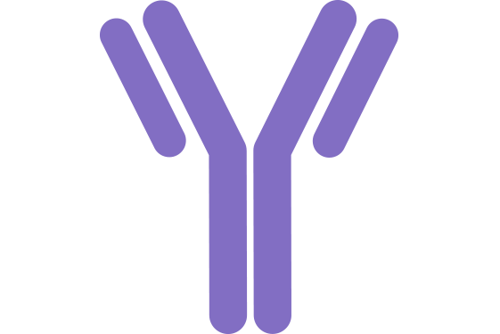 Immuno Profiling