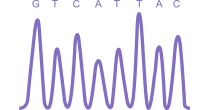 Sanger Sequencing