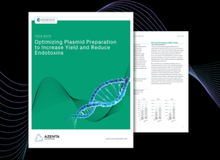 Plasmid Prep Tech Note