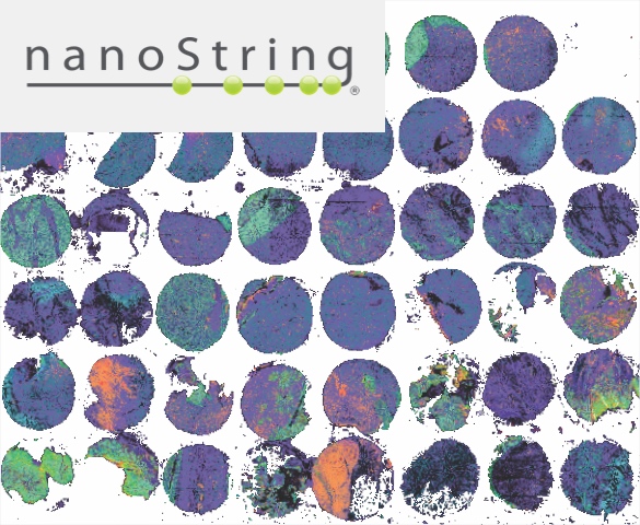 nanostring