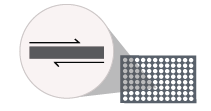 Digital Spatial Profiling Target Areas