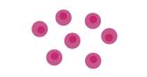 Digital Spatial Profiling Stains