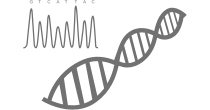 Purified Plasmids or PCR Products