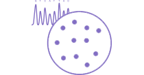 Bacterial & Fungal Identification